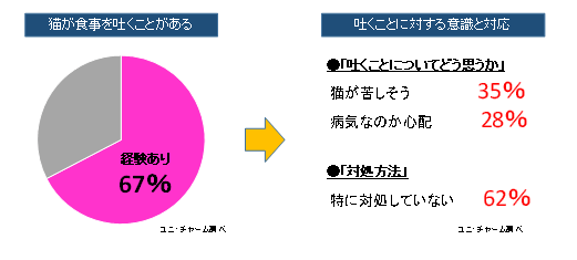 食事を吐くことがある猫は約67％存在します