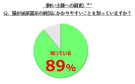 猫が泌尿器系の病気にかかりやすいことを知っていますか？