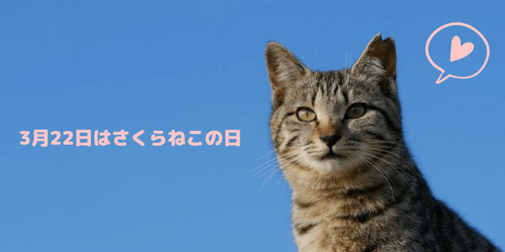 ３月２２日「さくらねこの日」