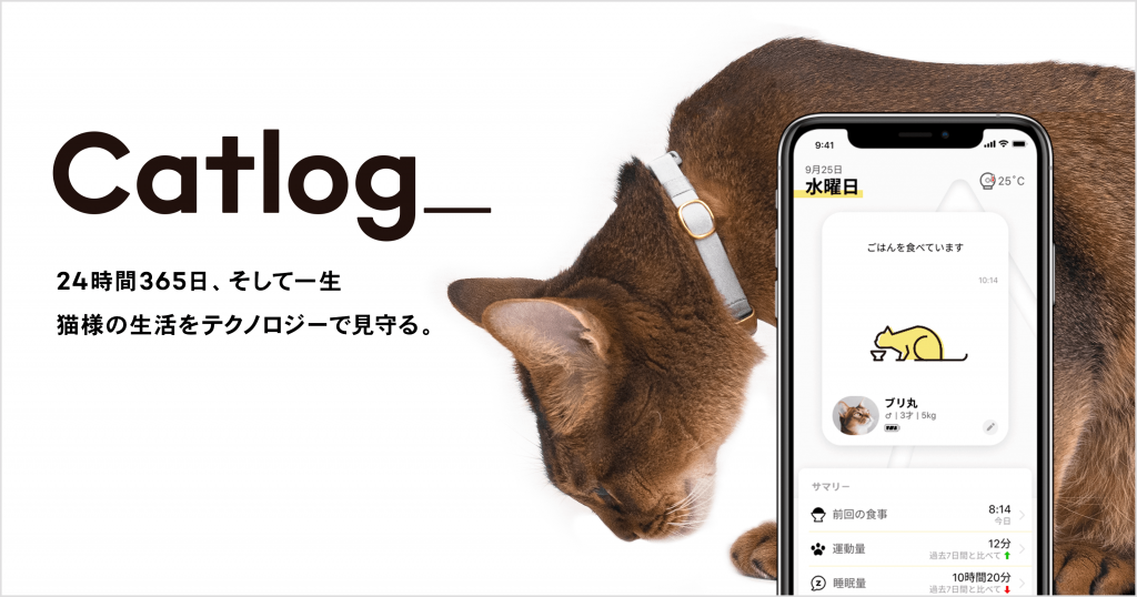 「猫の生活をテクノロジーで見守る」Catlog®