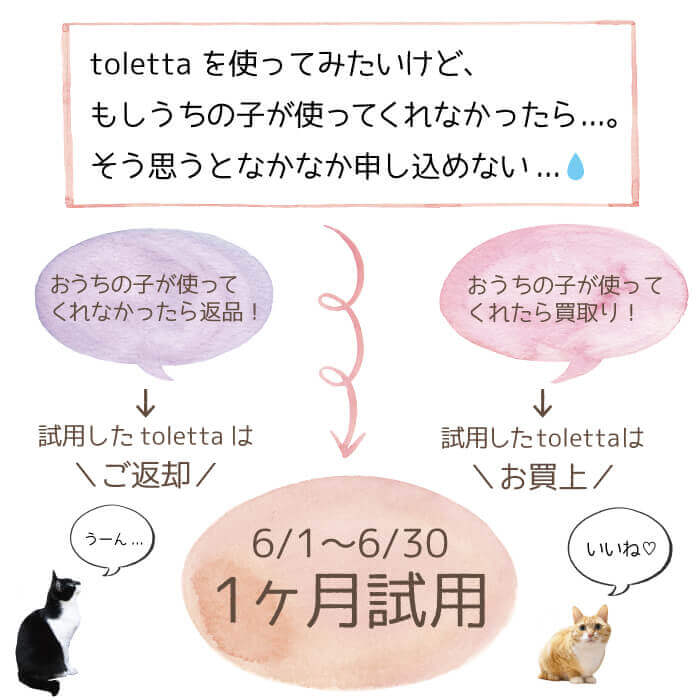 多くのねこが抱える「新しいおトイレいやだニャ問題」