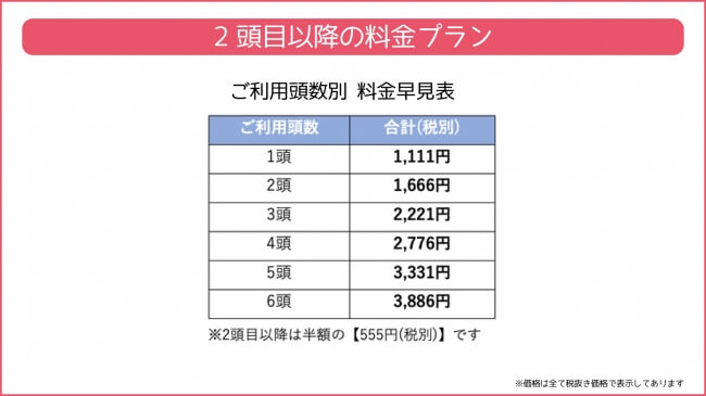 2回目以降の料金プラン