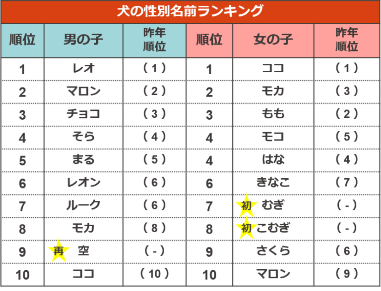 調査結果2　犬の性別名前ランキング