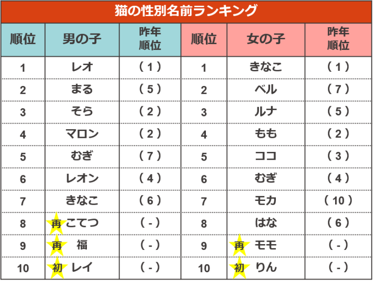 調査結果3　猫の性別名前ランキング