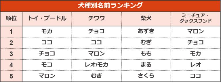 調査結果4　犬種別名前ランキング