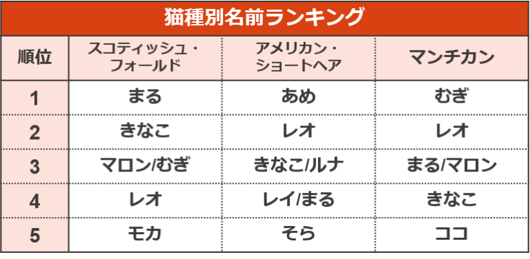 調査結果5　猫種別名前ランキング