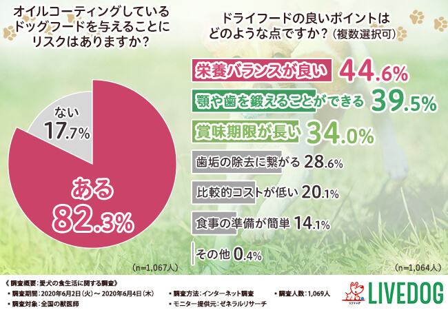 オイルコーティングのドッグフードにはリスクがあった！ドライフードの良いポイントとは？