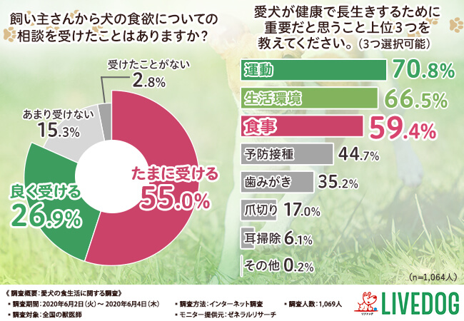 ”愛犬の食いつき”に関する相談は意外と多い！健康維持に大切なのは●●だった！