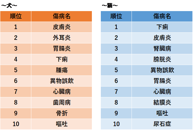 保険金請求が多い傷病ランキング