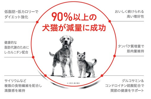 健康的なダイエットを考慮した栄養設計