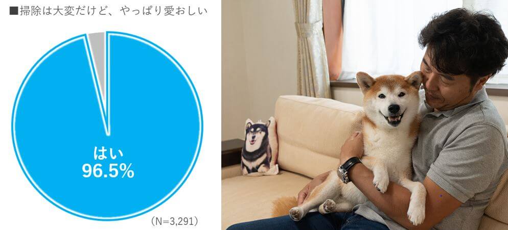 愛犬を迎える前に知っておきたい「抜け毛掃除」の大変さ03