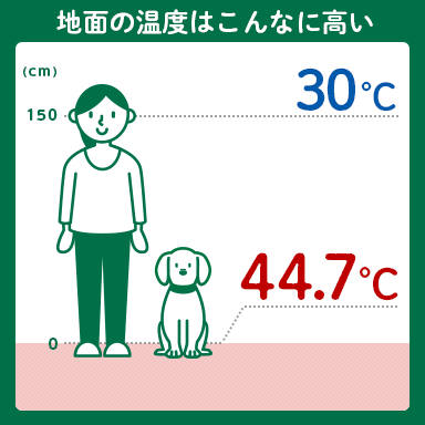 犬も熱中症になる！ 犬が過ごす地面付近は、予想以上の高温に