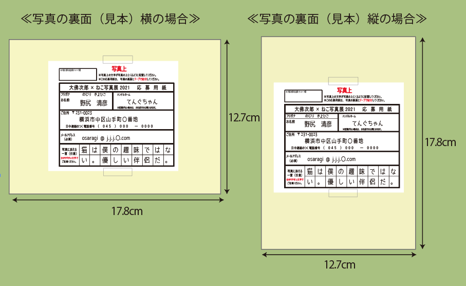 応募要項