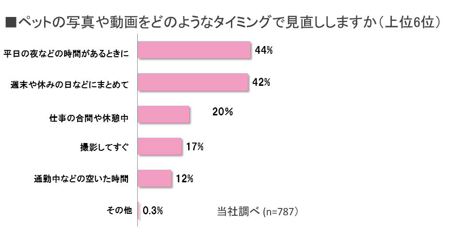 ペットの写真を見直すタイミング