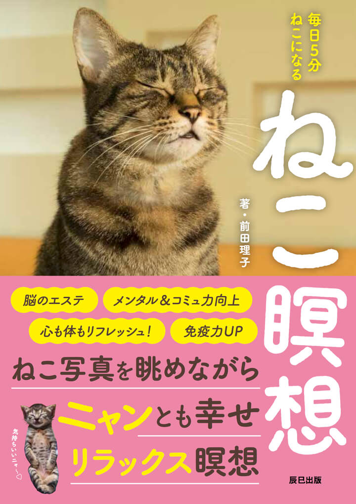 猫×瞑想＝癒し無限大∞