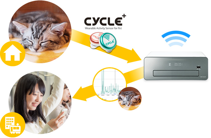 ディーガでPlus Cycleのデータを自動取得