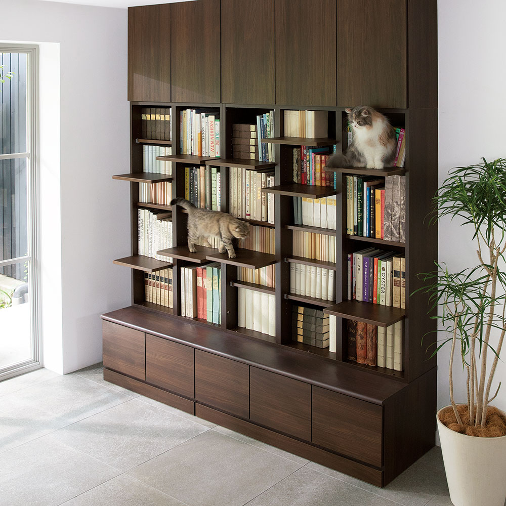 【ディノス企画商品】読書家も満足する収納力を備えた本棚 × 可動式猫タワー