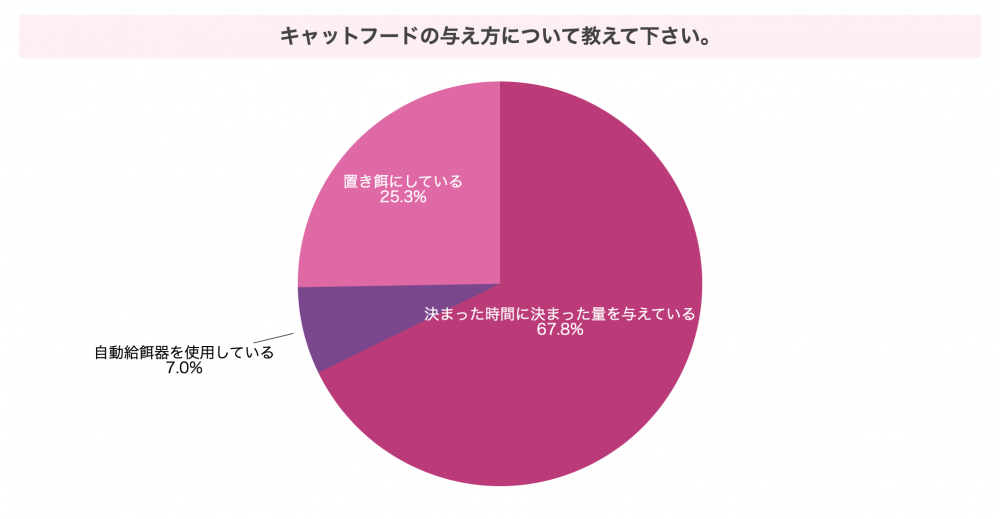 キャットフードの与え方