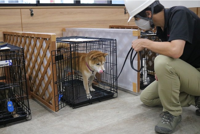 動物避難所開設訓練の様子