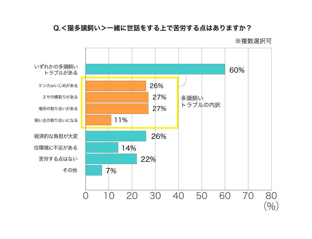 猫多頭飼い特有のトラブル