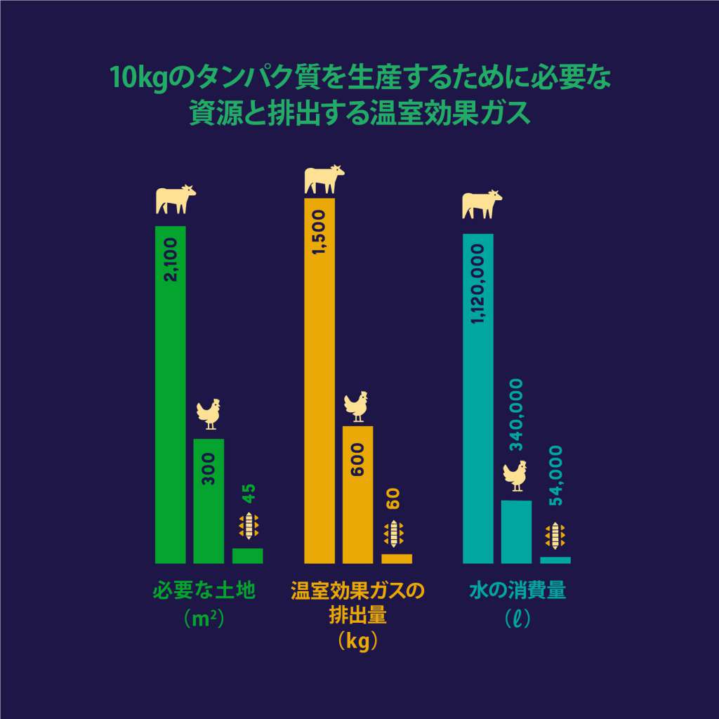 同じ量のタンパク質を生産する際に、『ヨラドッグフード』の昆虫は、牛肉と比べるとたったの約“1/25”しかガスを排出しません。