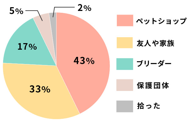 愛犬をお迎えした場所は？1位はペットショップ