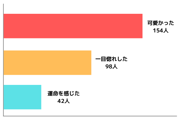 愛犬をお迎えした理由とは？直感で決める傾向が強い