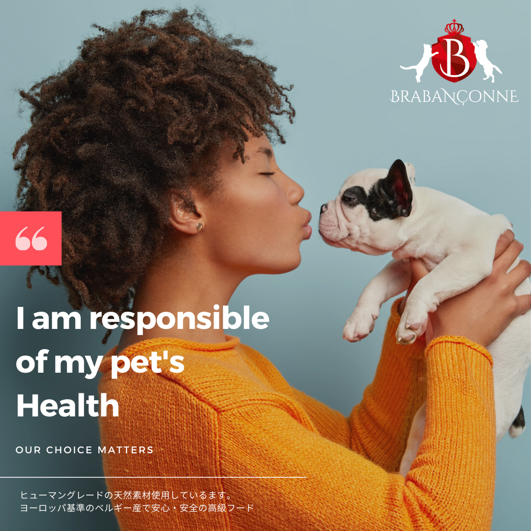 I am responsible of my pet's Health