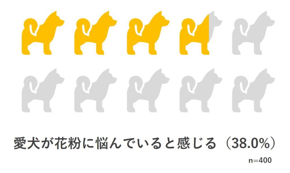 愛犬が花粉に悩んでいると感じる