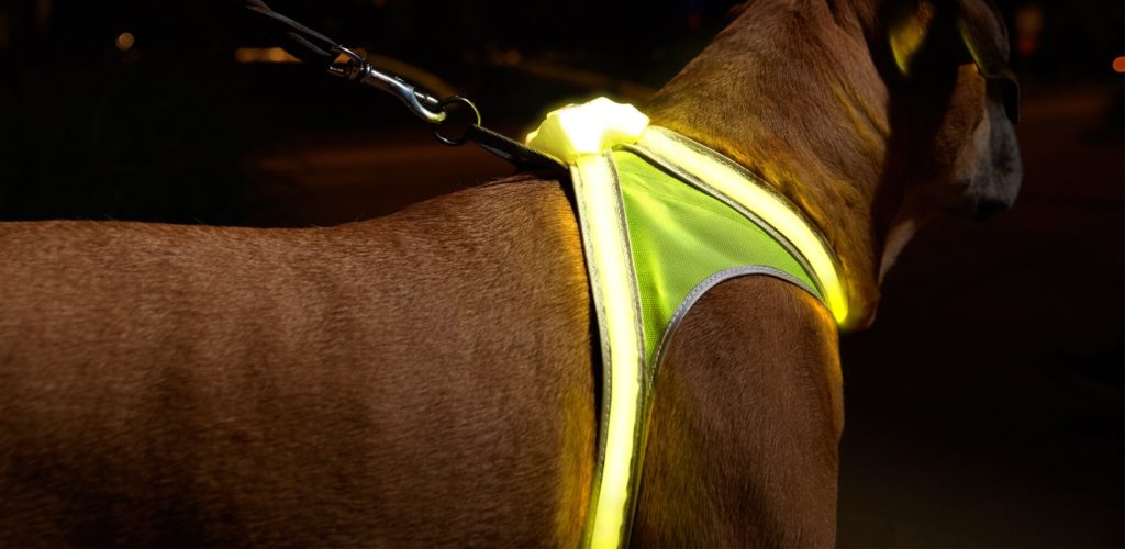 小型犬から大型犬まですべてのサイズに対応した犬用ハーネスLED「ライトハウンド」