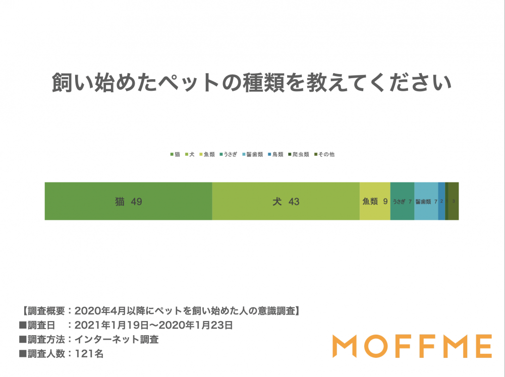 飼い始めたペットの種類を教えてください