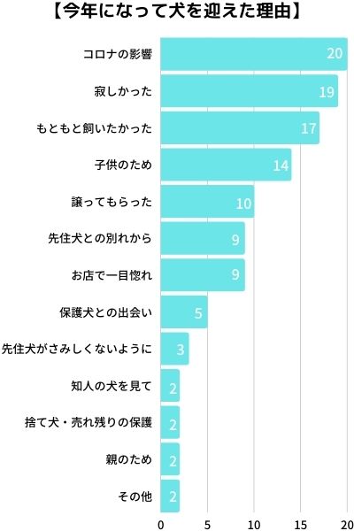 今年になって犬を迎えた理由