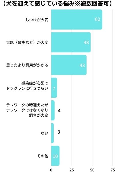 実際に犬を迎えてから感じた悩み