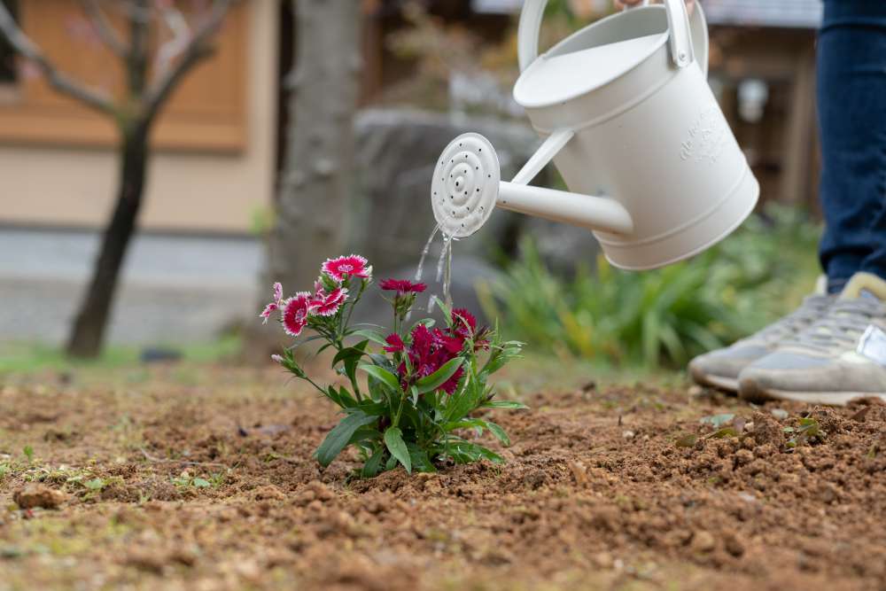 お好みのお花や樹木を植えて