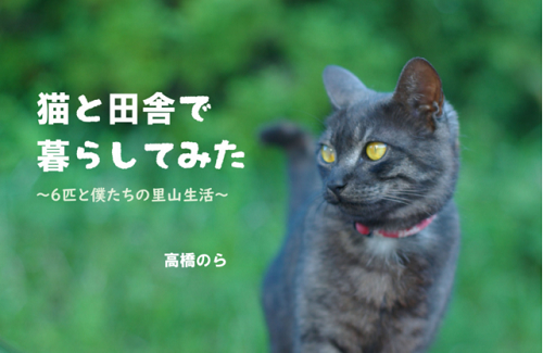 猫と田舎で暮らしてみた