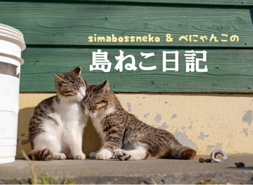 simabossneko&ぺにゃんこの「島ねこ日記」