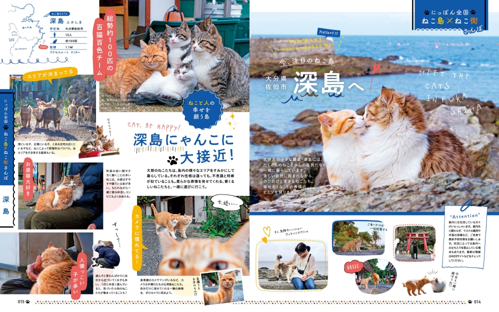 ＜今、注目のねこ島 深島へ＞