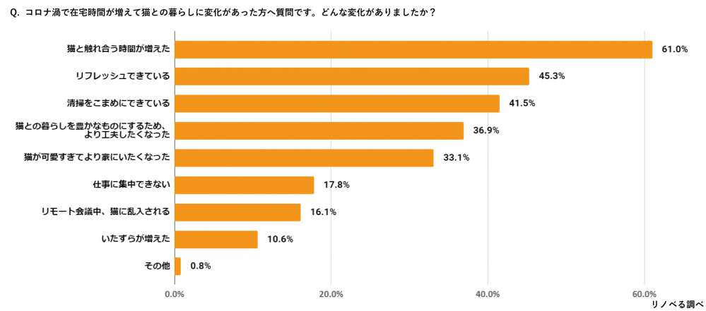 コロナ渦で在宅時間が増えて猫との暮らしに変化があった方へ質問です。