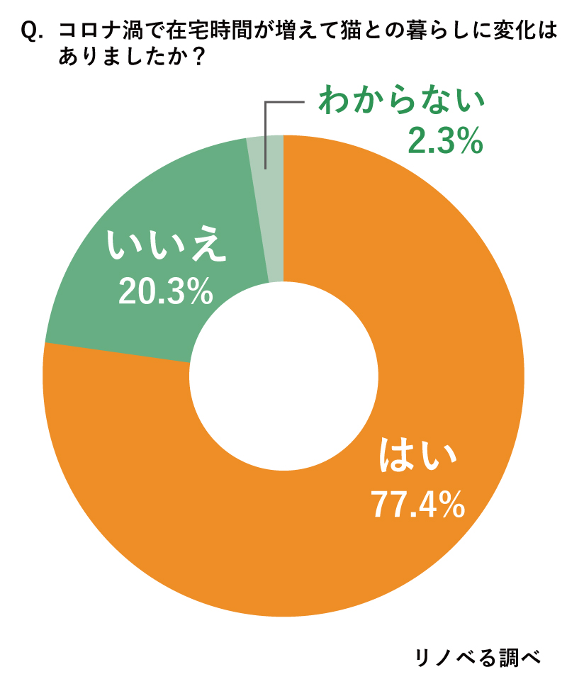 コロナ渦で在宅時間が増えて猫との暮らしに変化はありましたか？