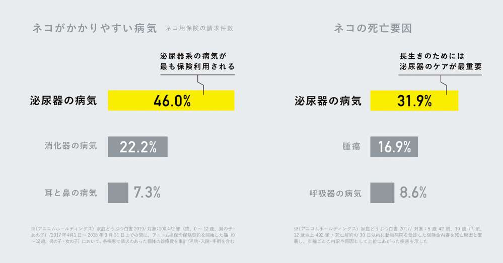 猫と尿の関係性