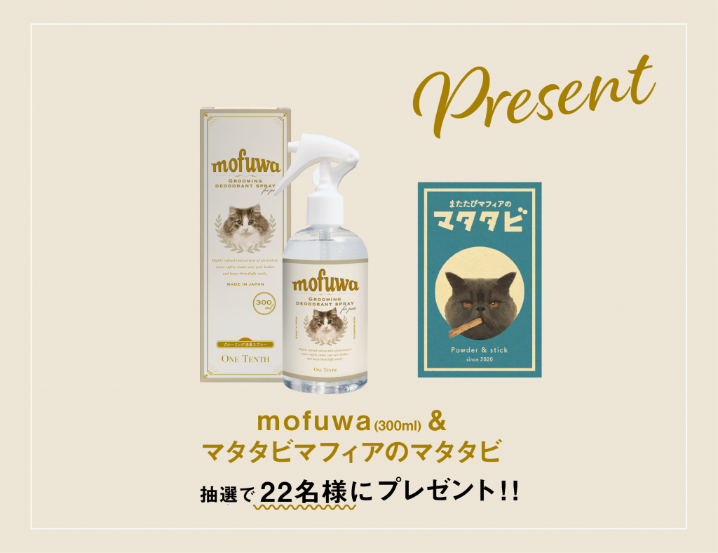 mofuwa × nyans コラボモデル発売記念キャンペーン実施中