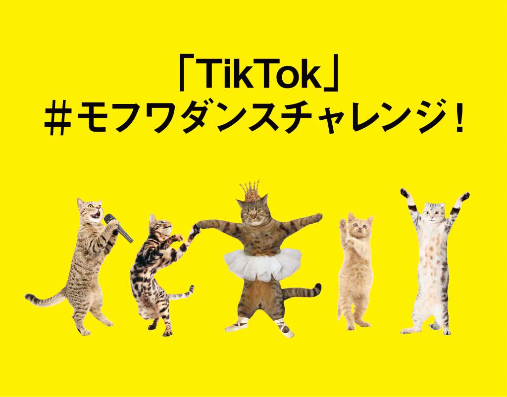 「TikTok」#モフワダンスチャレンジ!