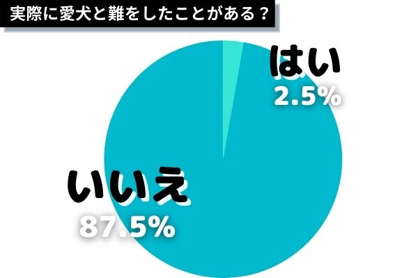 実際に愛犬と避難したことのある人は2.5％！貴重な体験談を紹介