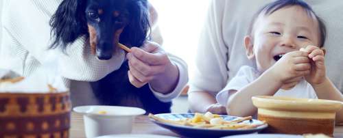 ヒトとワンコがいっしょに食べられる