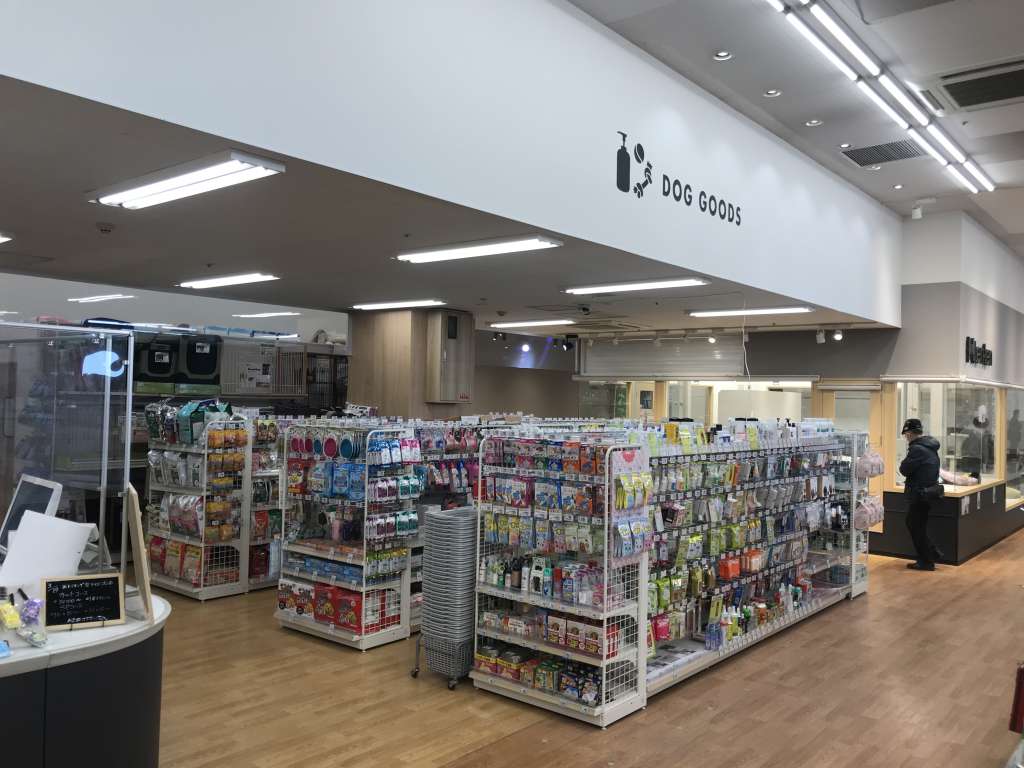 店内レイアウトの一新