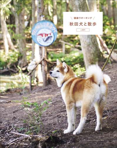 特集「秋田犬に会いたくて」より、ヘルスケアデザイン秋田「マサ」