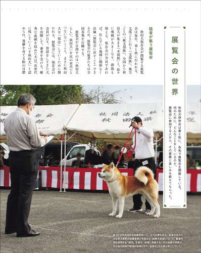 秋田犬の展覧会を、秋田犬ファンの視点で紹介