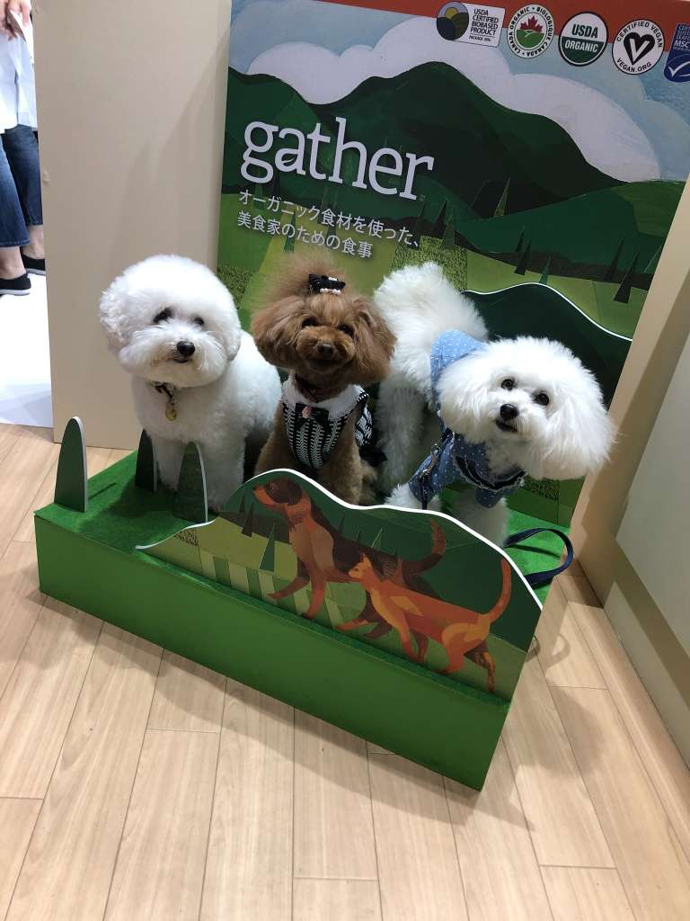 『gather』看板＆犬の置物