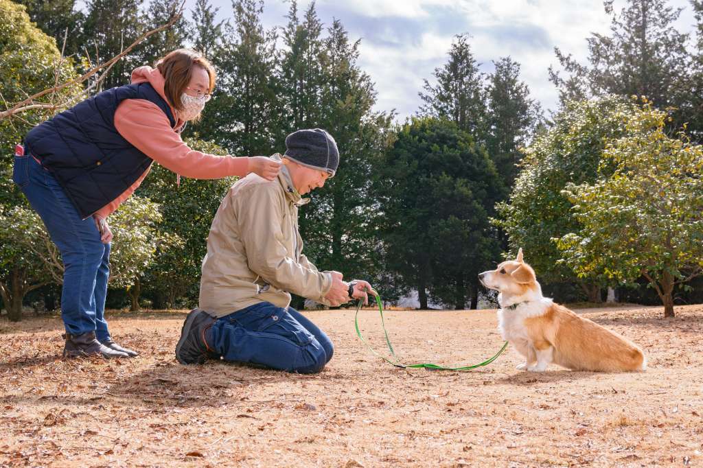 ワンちゃんの笑顔写真家・佐藤克之さんがワンちゃんの笑顔を上手に撮る秘訣を分かりやすくご紹介