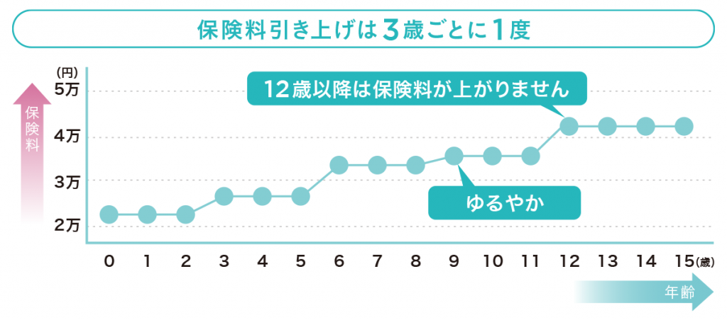 小型犬　70％補償プラン　ペットセレモニー特約なしの場合